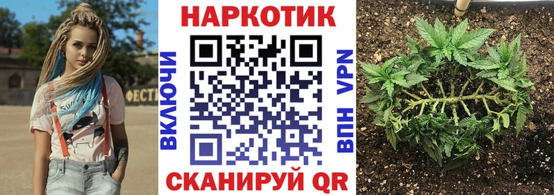 Купить наркотики сайты Козловка Галлюциногенные грибы АМФ Мефедрон Конопля