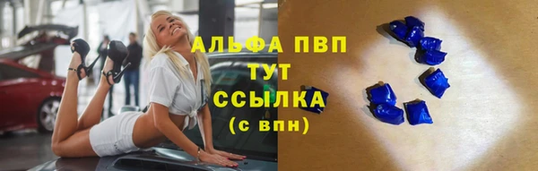 дмт Белокуриха