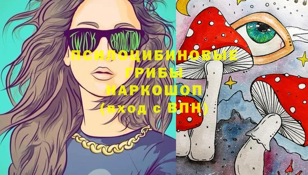 дмт Белокуриха