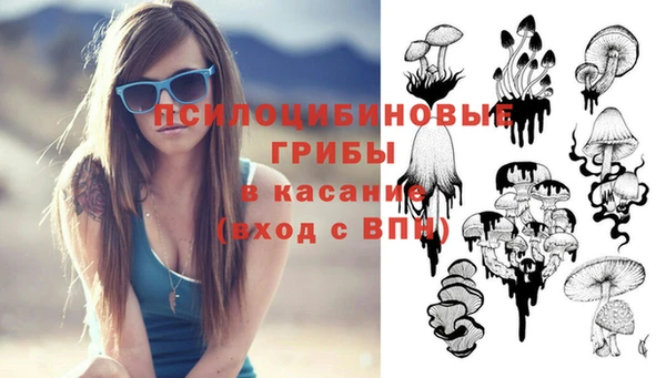 дмт Белокуриха