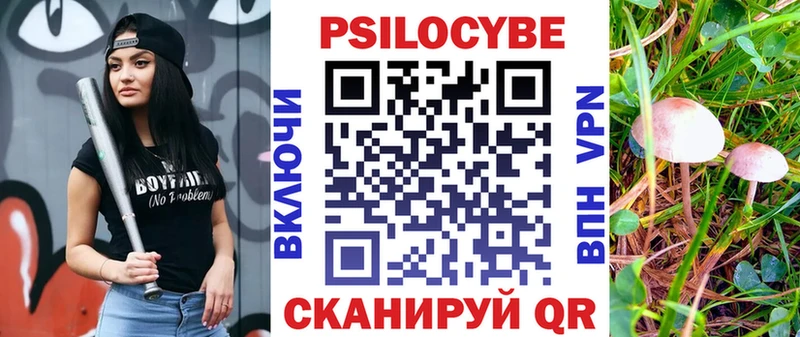 купить наркоту  блэк спрут ССЫЛКА  Псилоцибиновые грибы Magic Shrooms  Козловка 